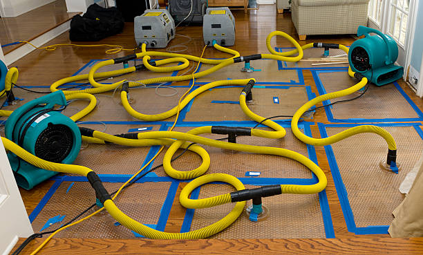 Professional Crawl Space Water Removal technician working in Kingston, MO